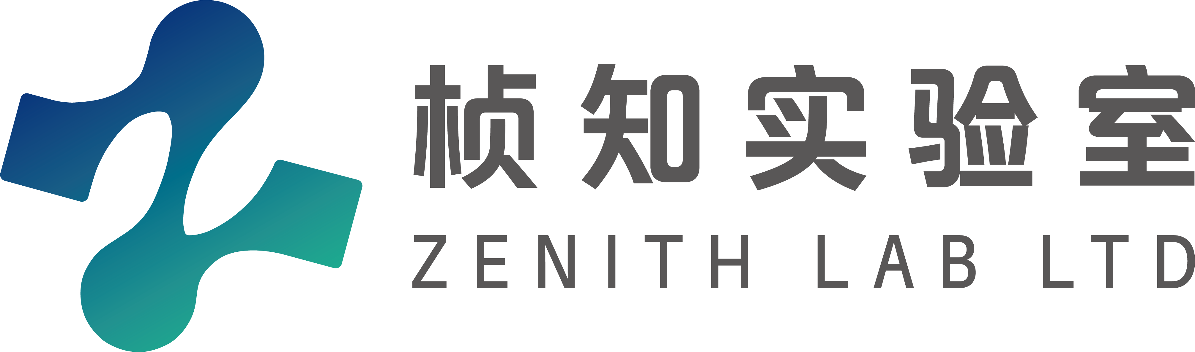 桢知实验室 Zenith Lab